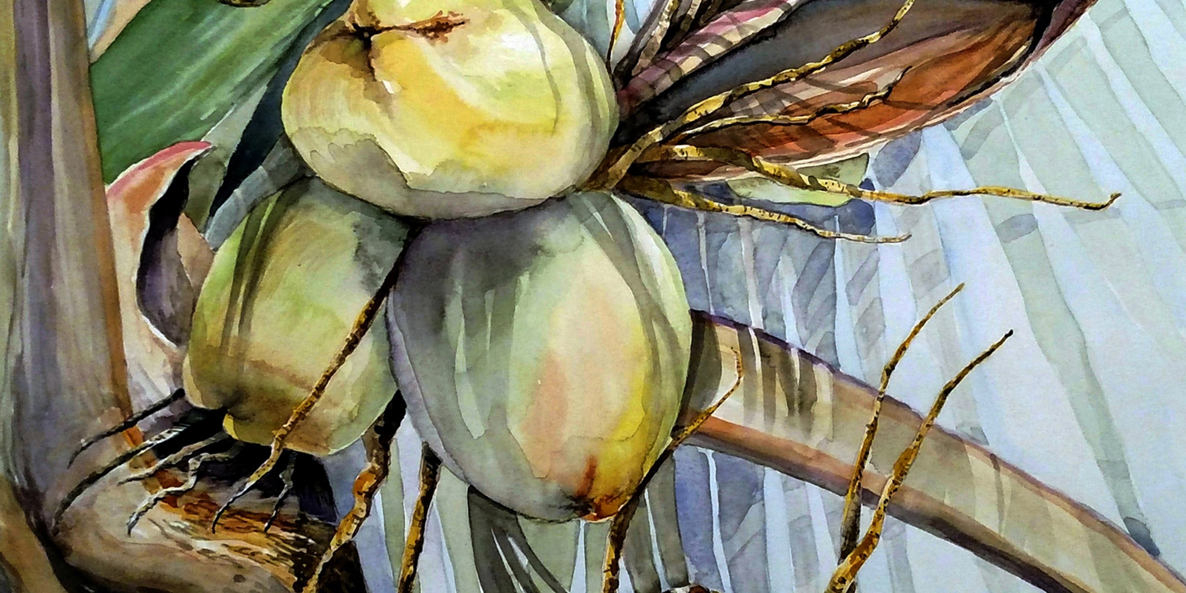 A painting of a cluster of green coconuts hanging among palm fronds against a bright sky.